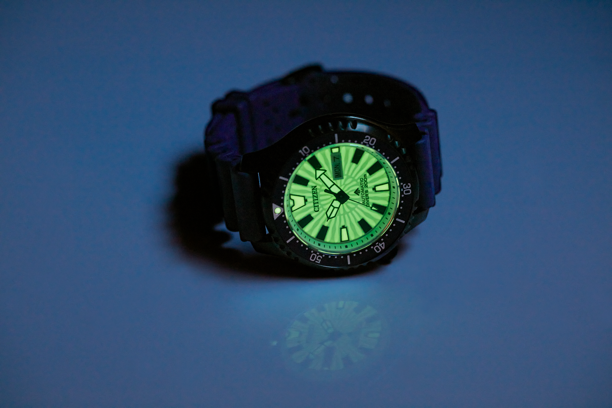 Promaster Dive Automatic