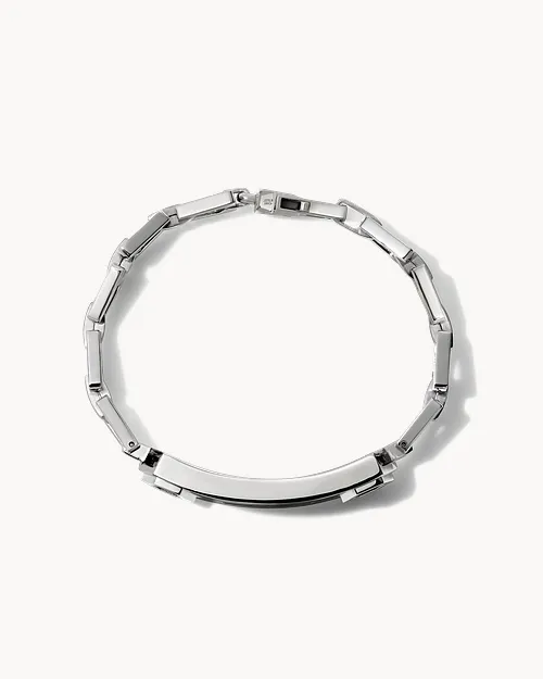 Precisionist    image number 1