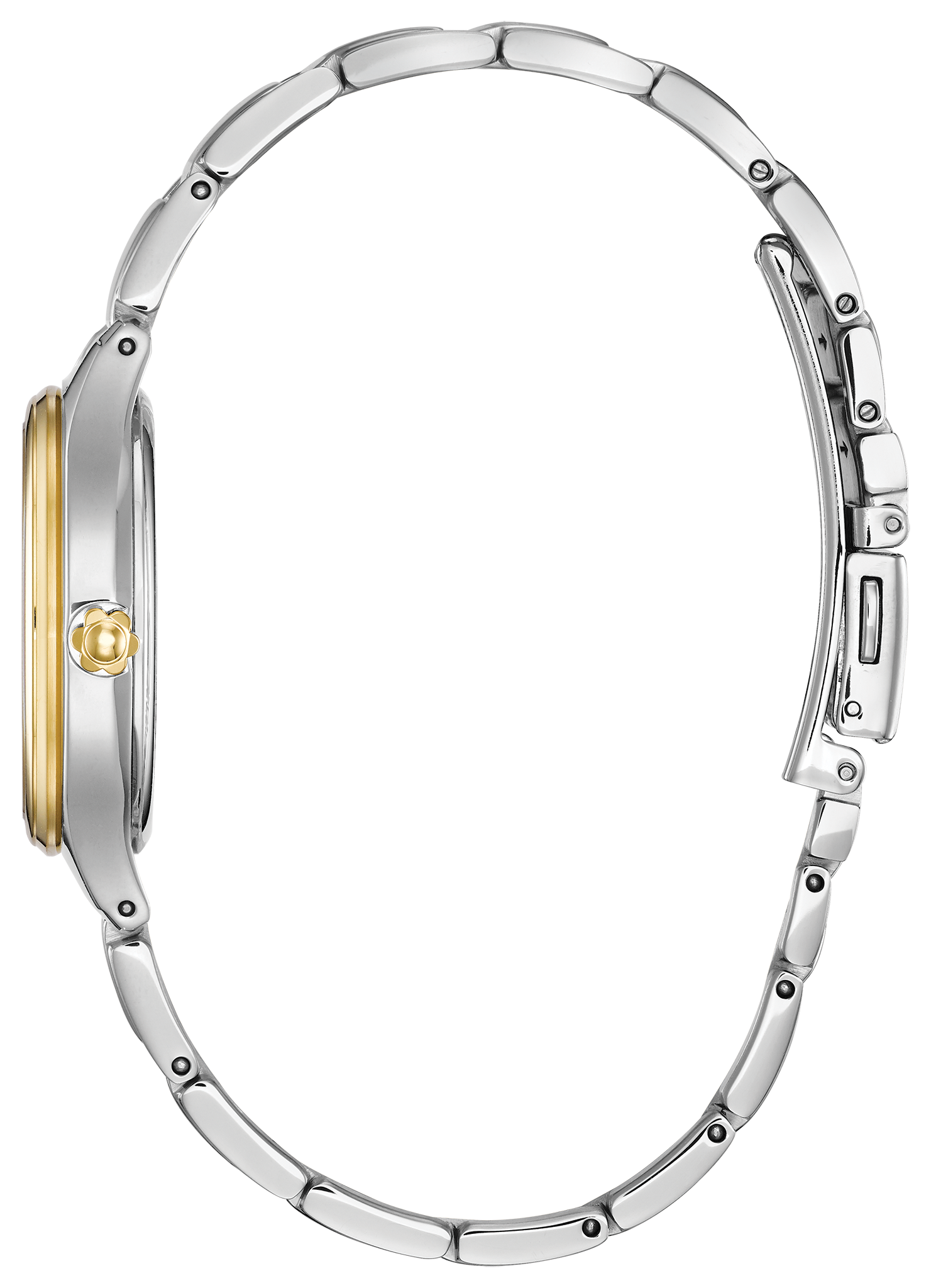 Corso image number NaN