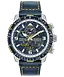Promaster Skyhawk A-T