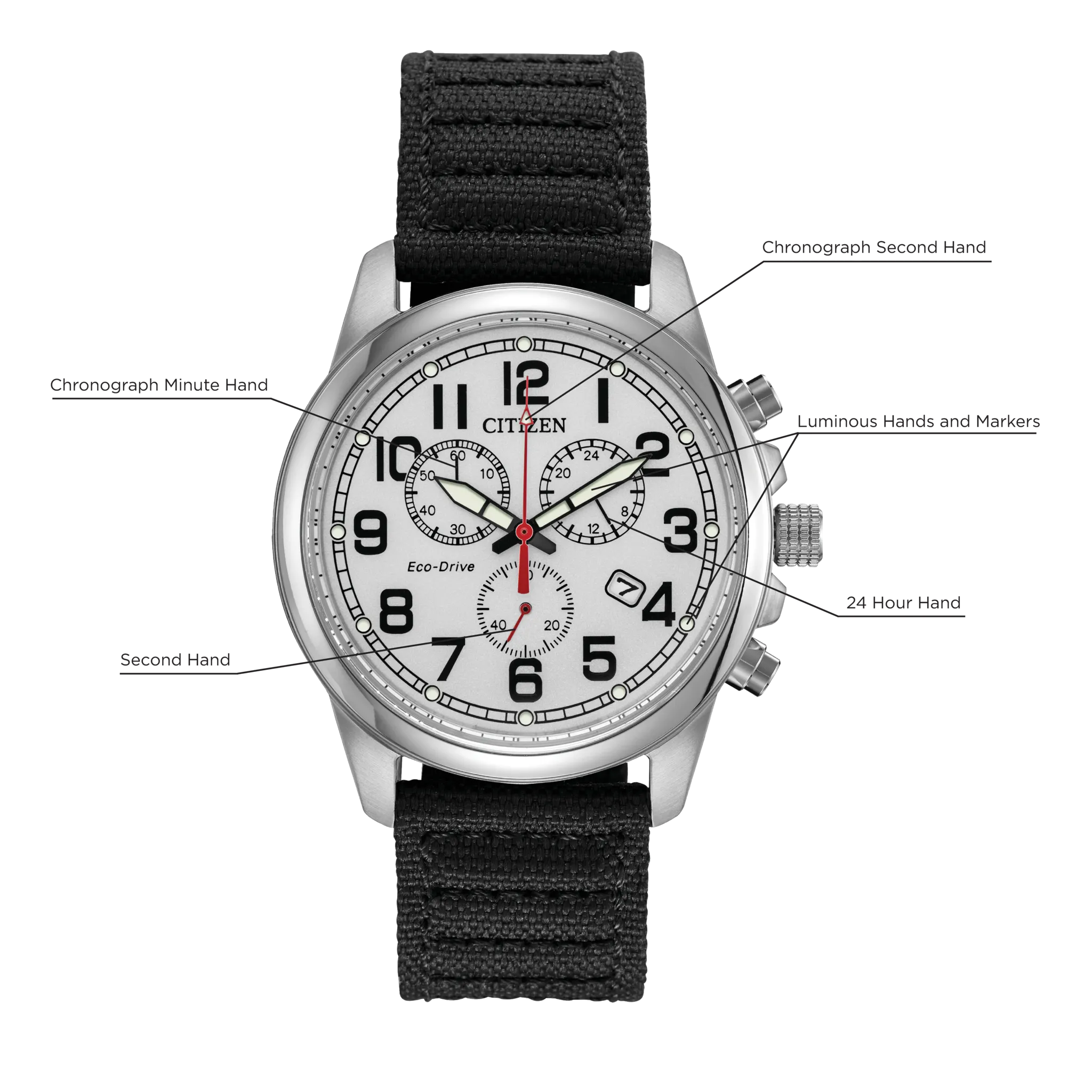 Chandler image number 4