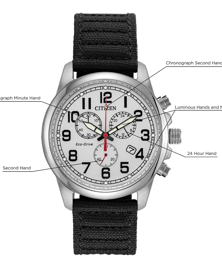 Chandler image number 4