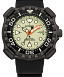 Promaster Dive