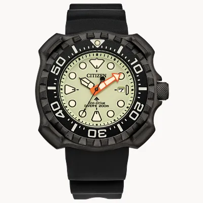 Promaster Dive Promaster Dive