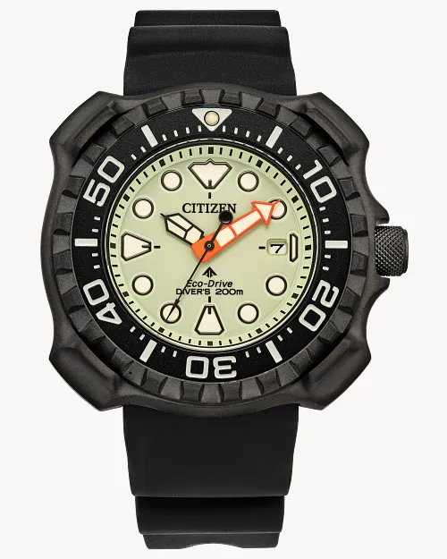 Promaster Dive image number 0