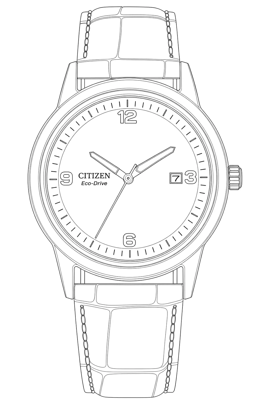 Watch technical diagram