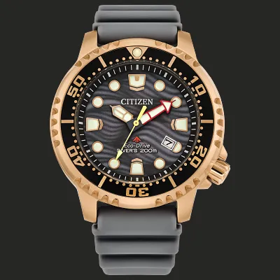 Promaster Dive Promaster Dive