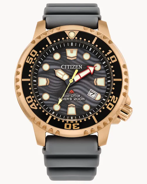 Promaster Dive image number 0