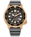 Promaster Dive