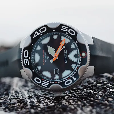 Promaster Dive Promaster Dive