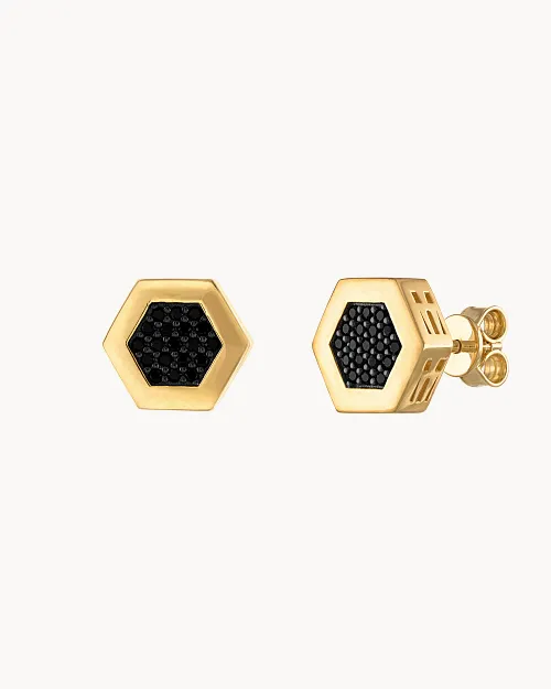 Icon Earrings image number 0