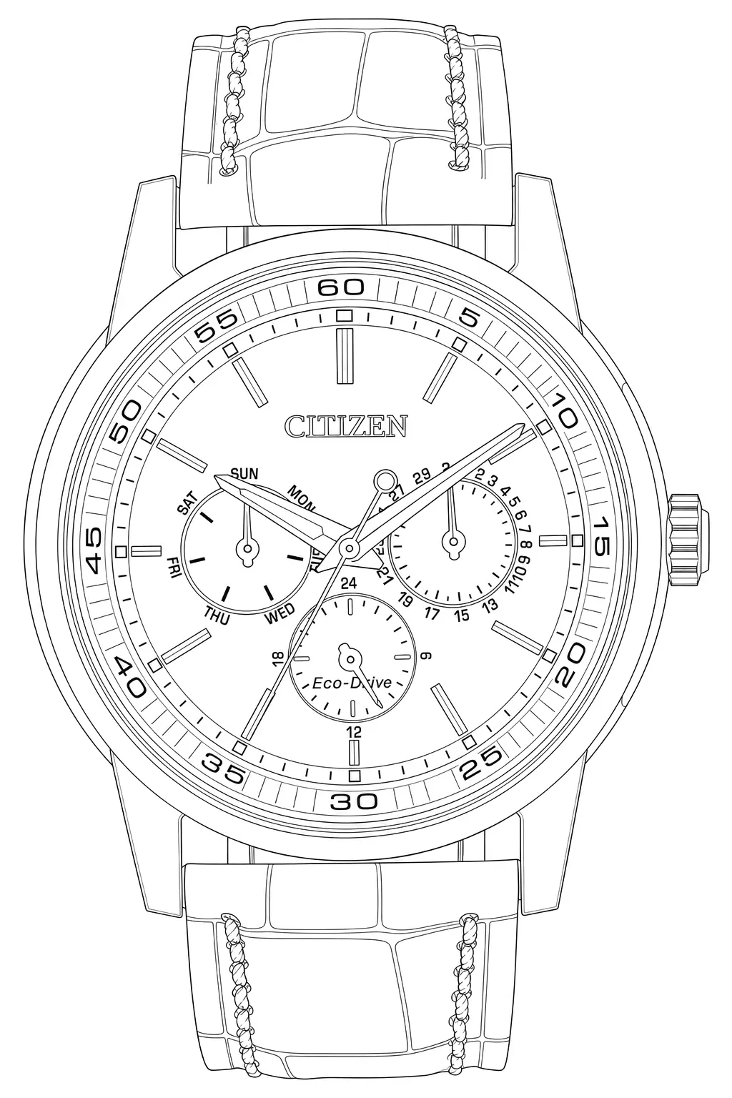 Watch technical diagram