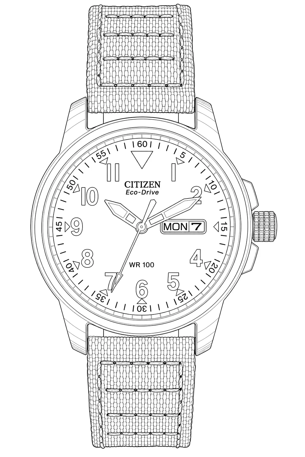 Watch technical diagram
