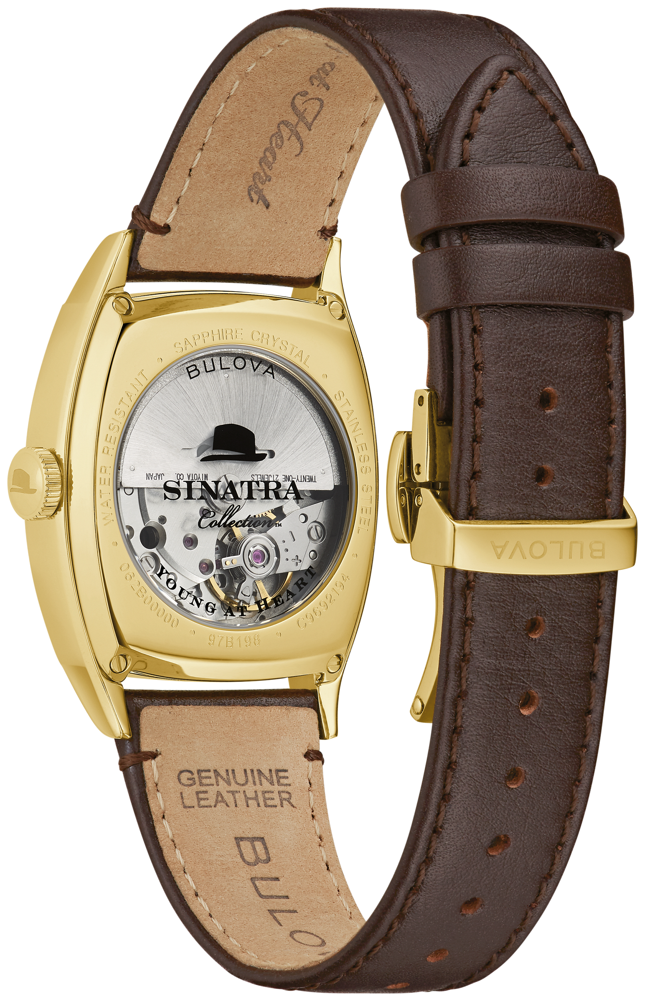 Frank Sinatra Young at Heart