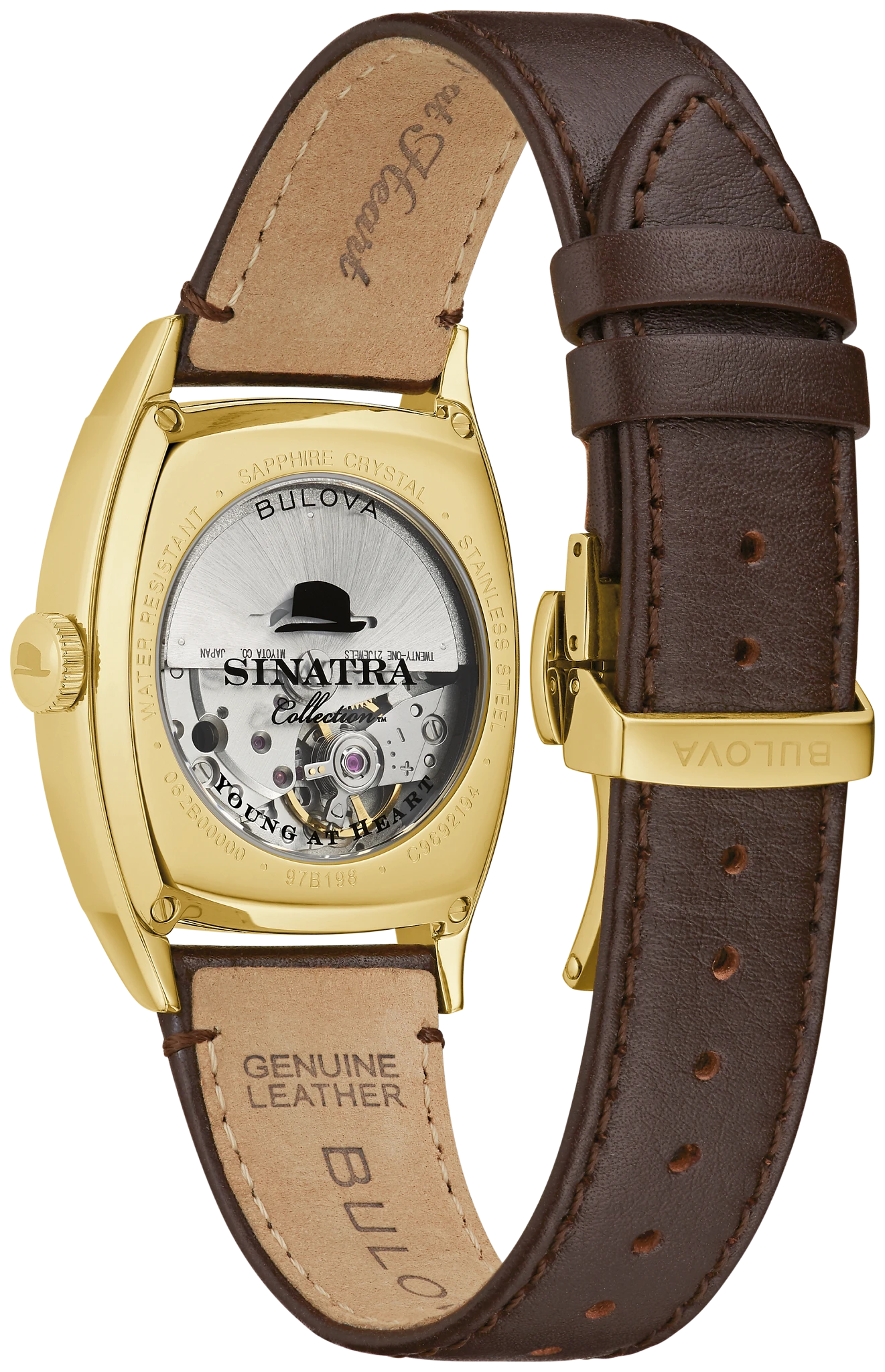 Frank Sinatra Young at Heart
