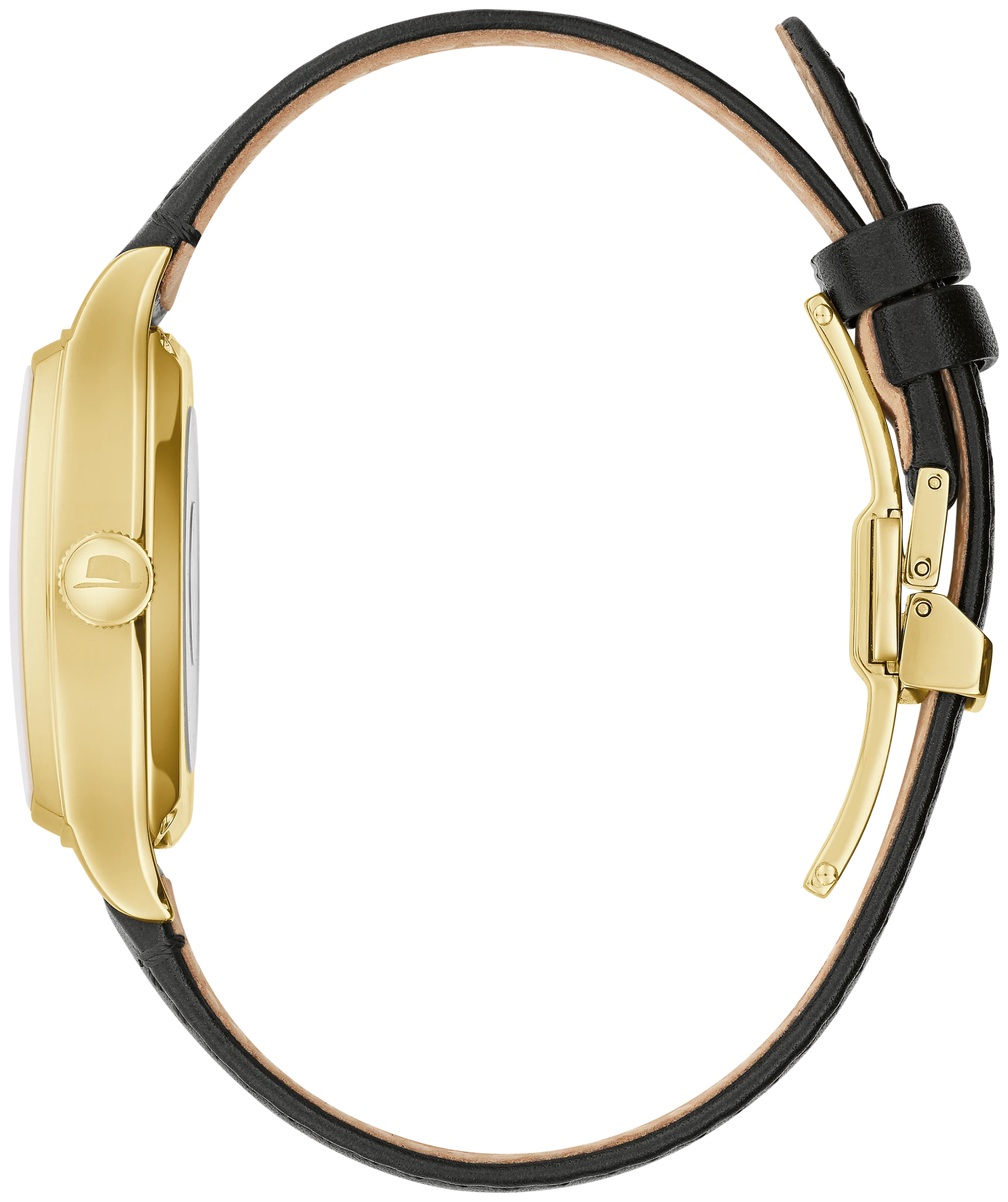 Young at Heart image number 1