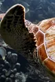 image number 7