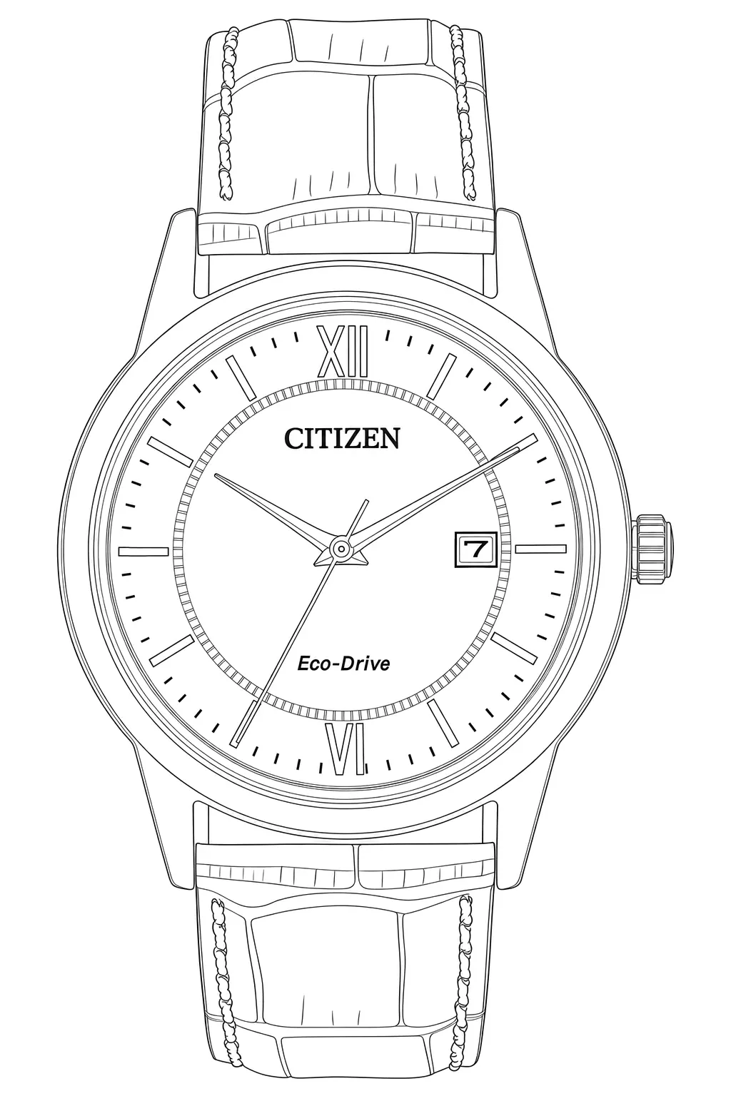 Watch technical diagram