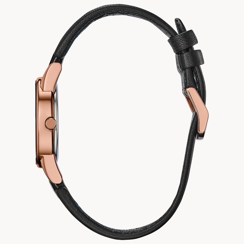 Citizen eco drive axiom discount women's