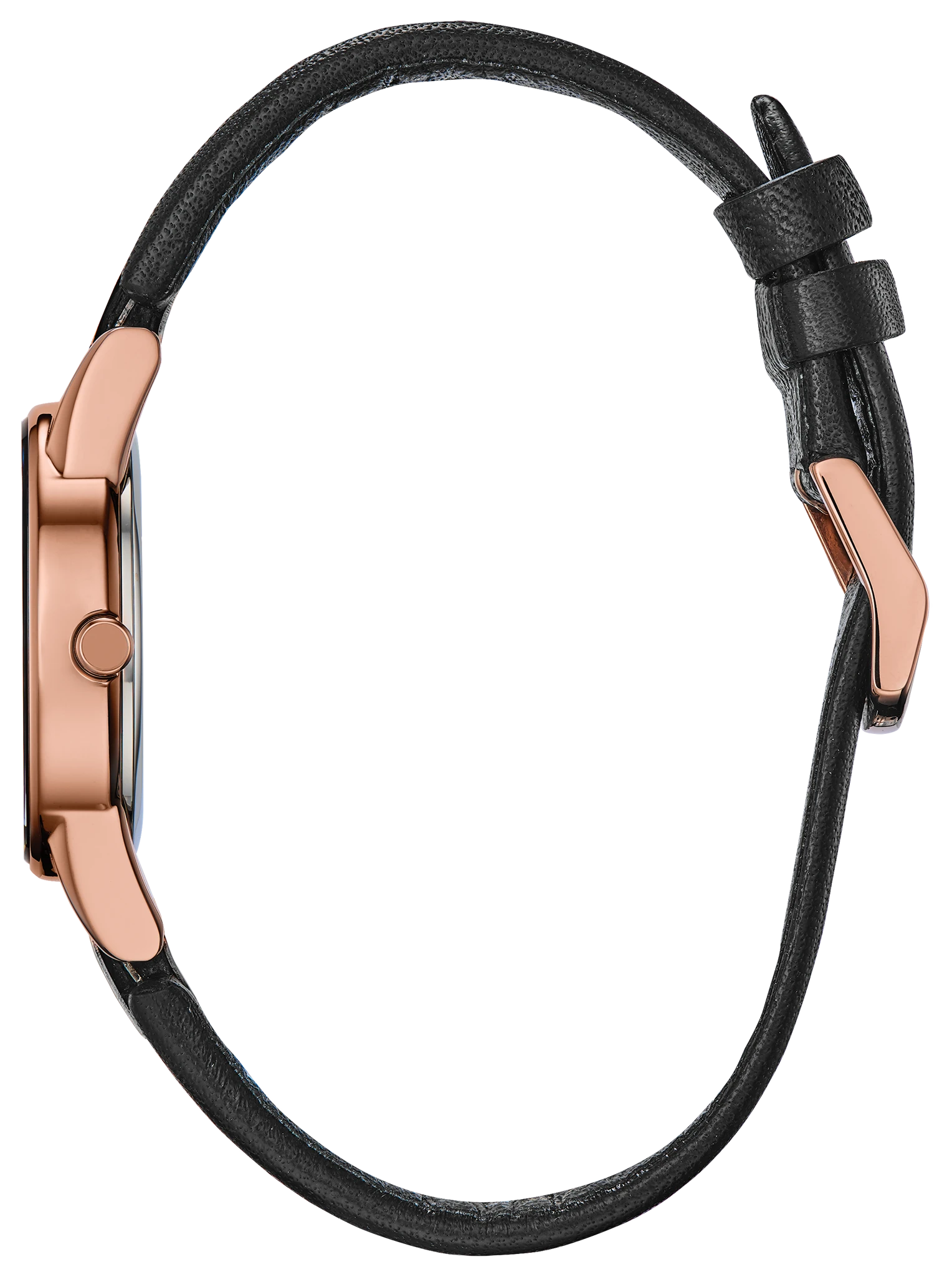 Axiom image number 1