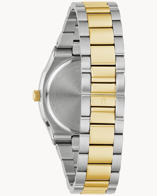 Surveyor image number 2