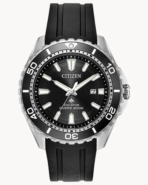 Promaster Dive image number 0