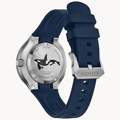 Promaster Dive Promaster Dive
