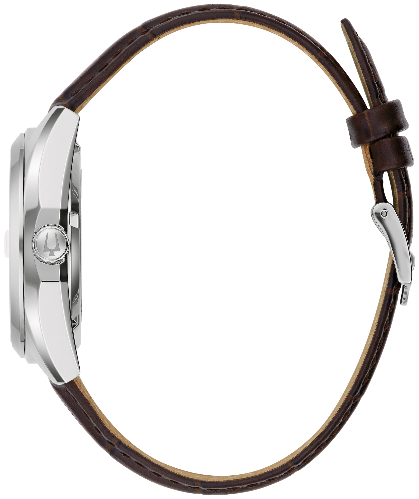 Surveyor image number 1