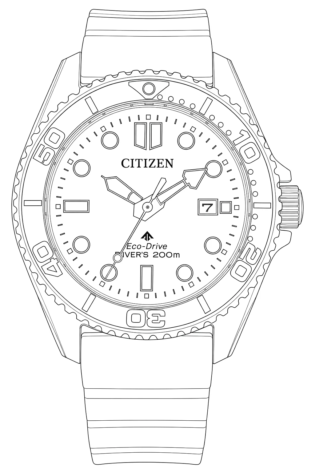 Watch technical diagram