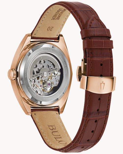 Surveyor image number 2