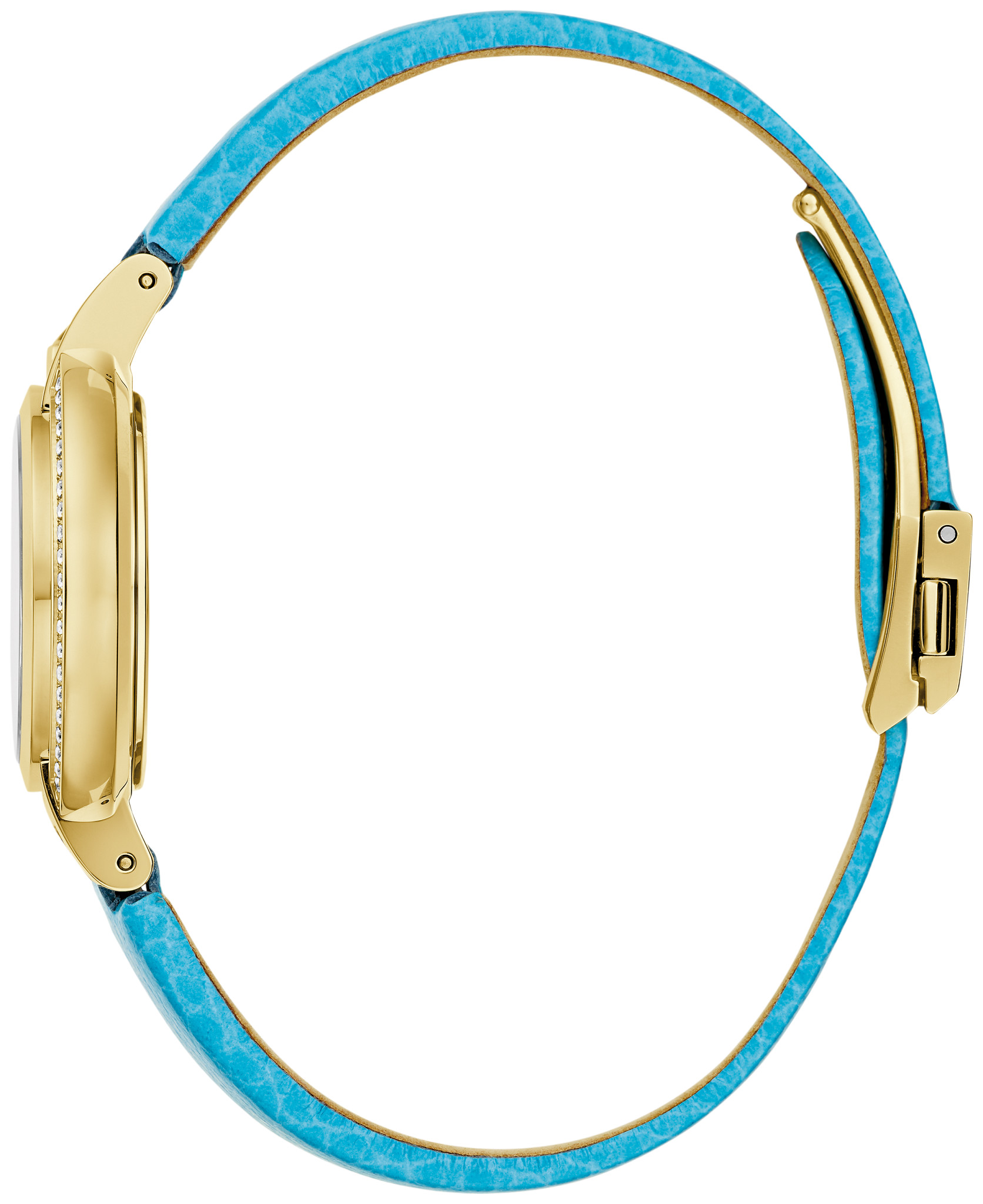 Rubaiyat Summer image number 1