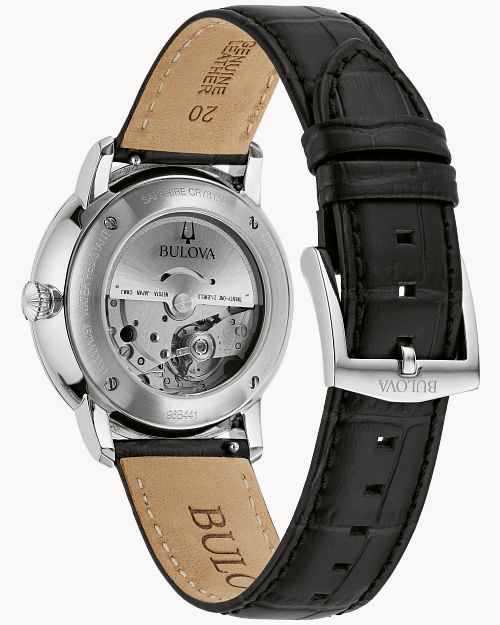 Hudson image number 2