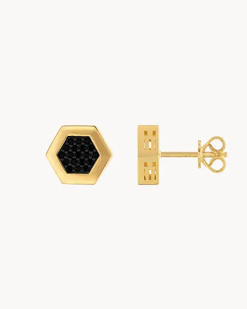 Icon Earrings image number 1