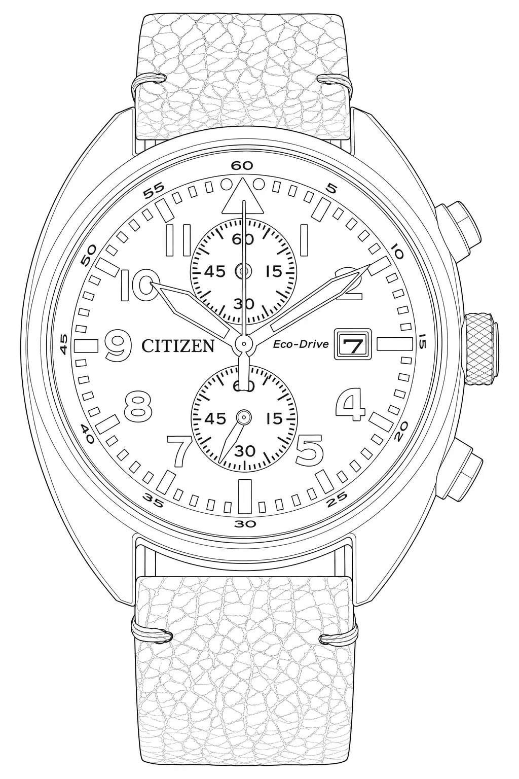 Watch technical diagram