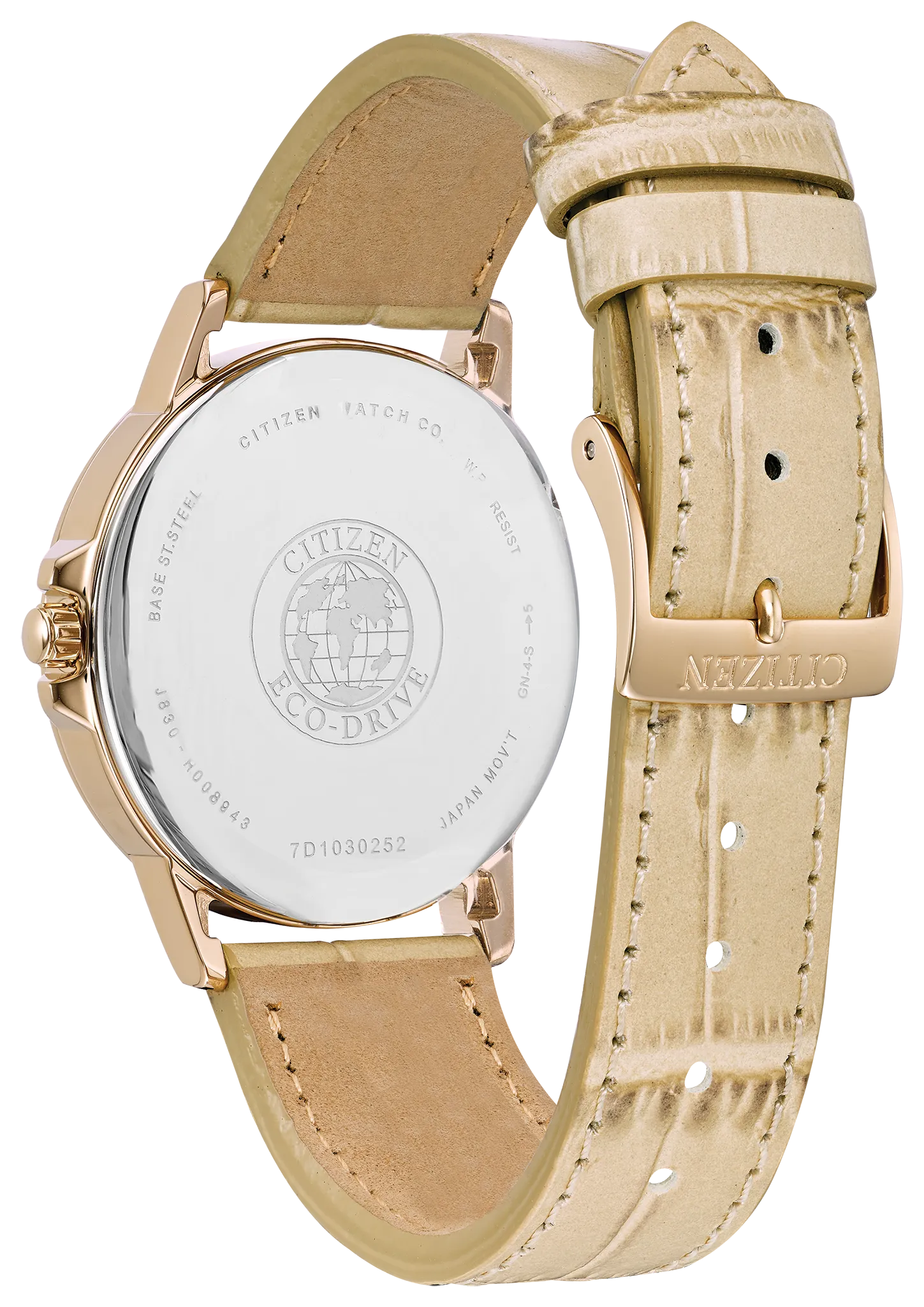 Chandler image number 2