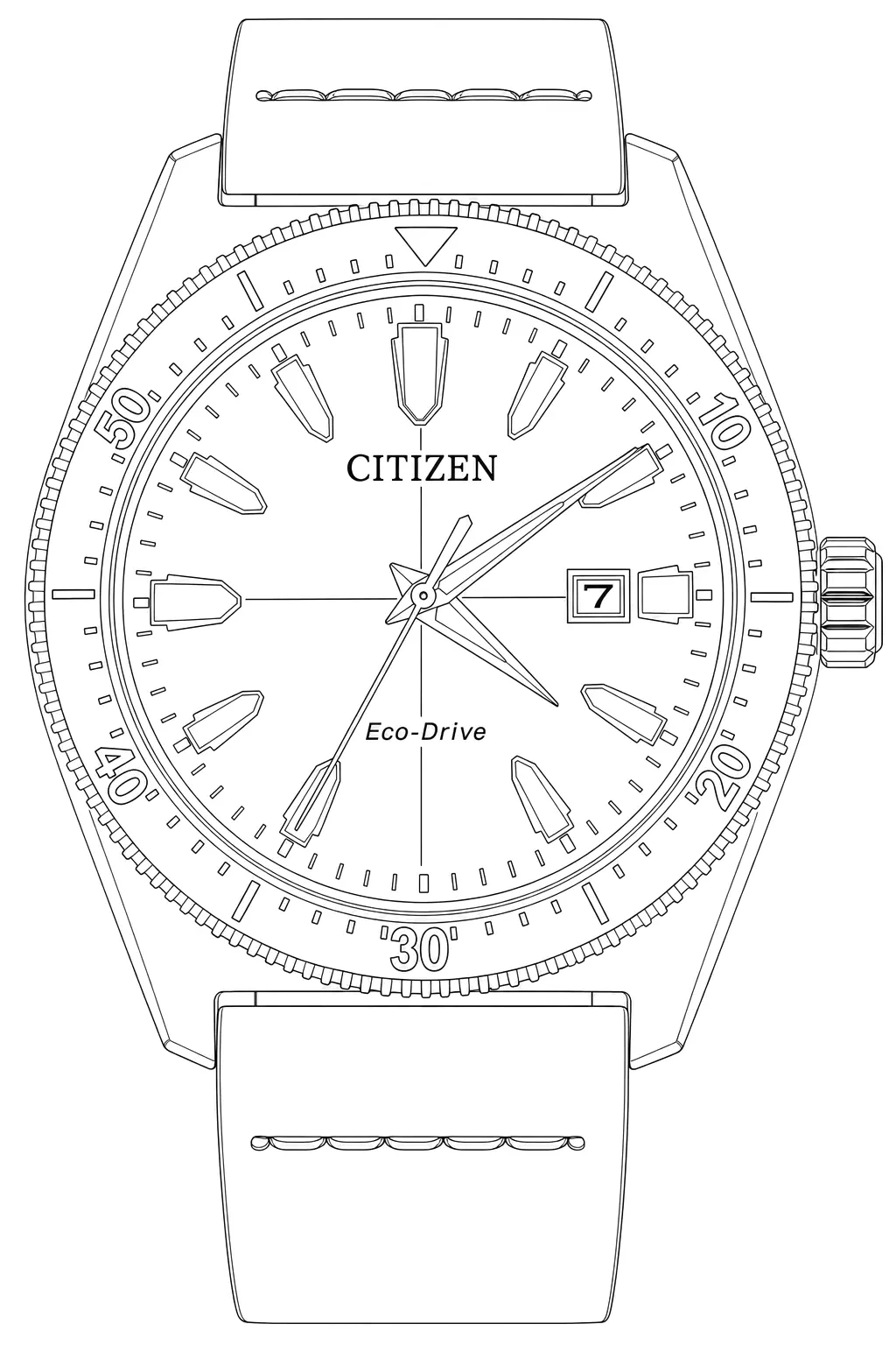 Watch technical diagram