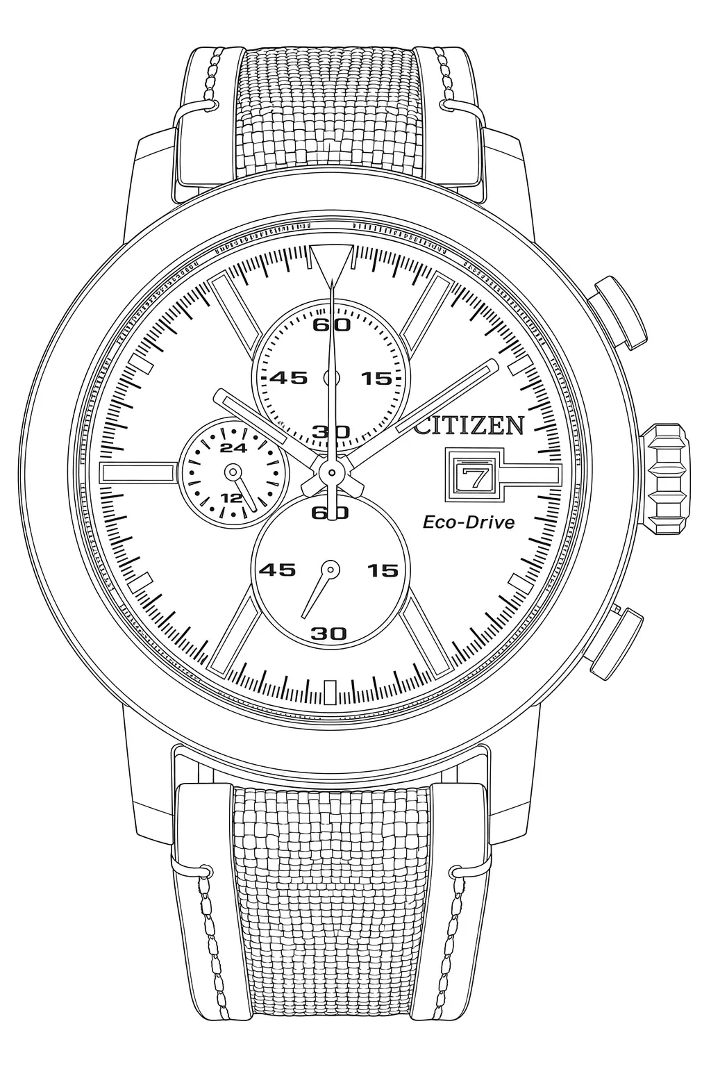 Watch technical diagram