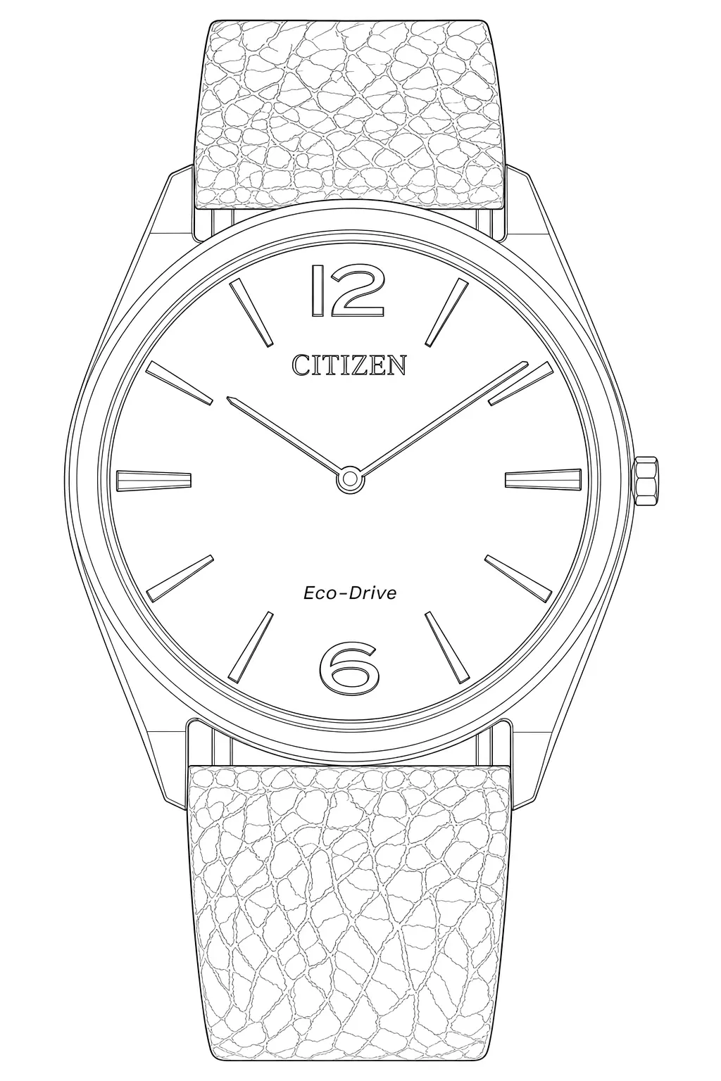 Watch technical diagram