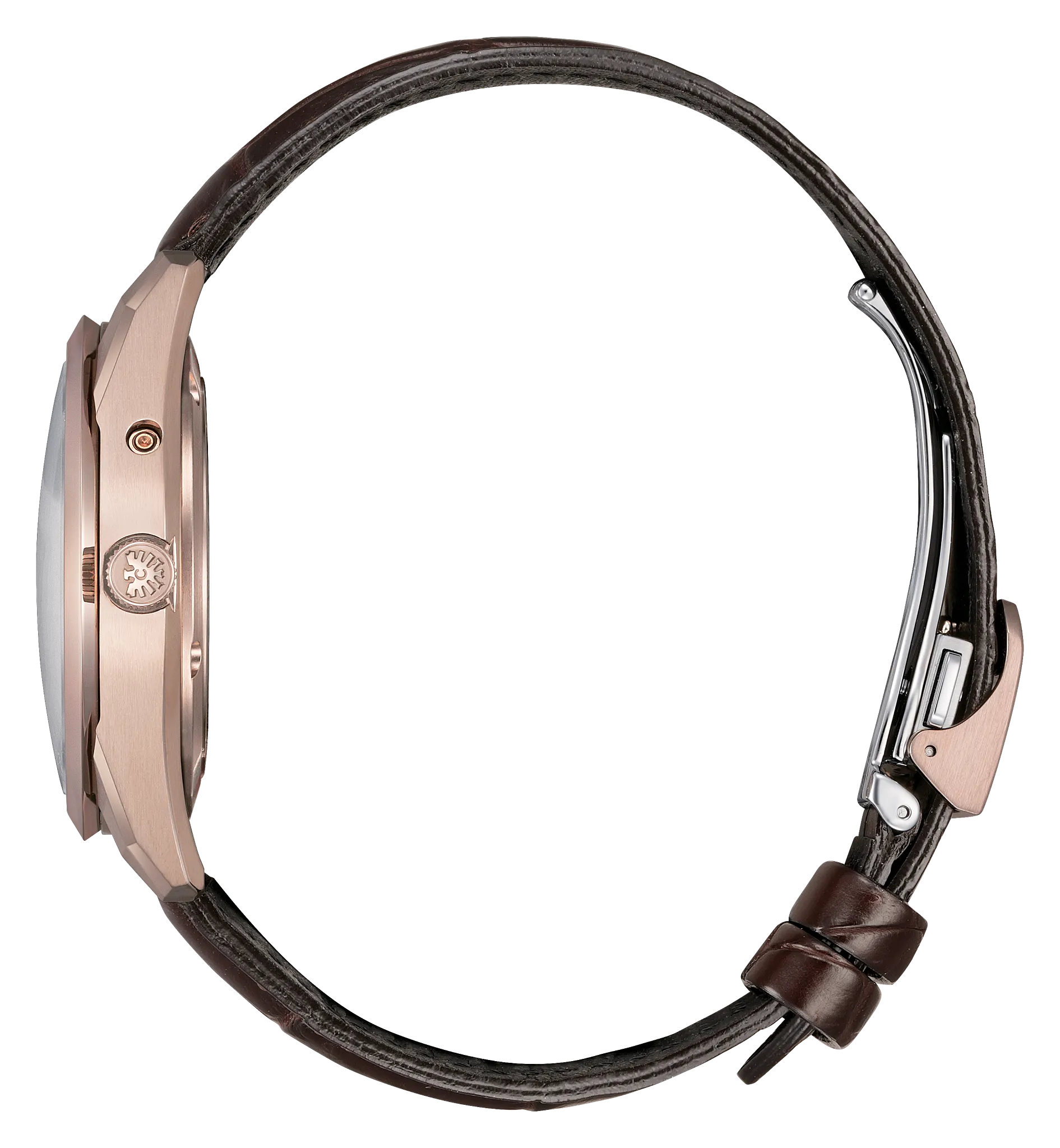 The CITIZEN - view 3