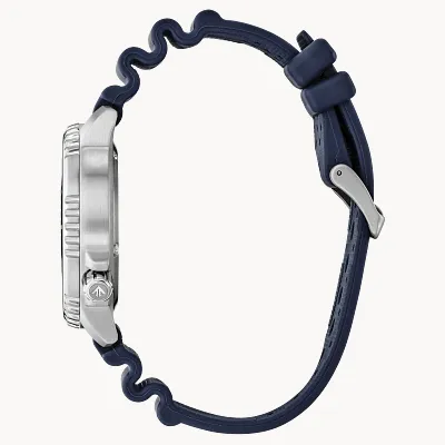 Promaster Dive Promaster Dive