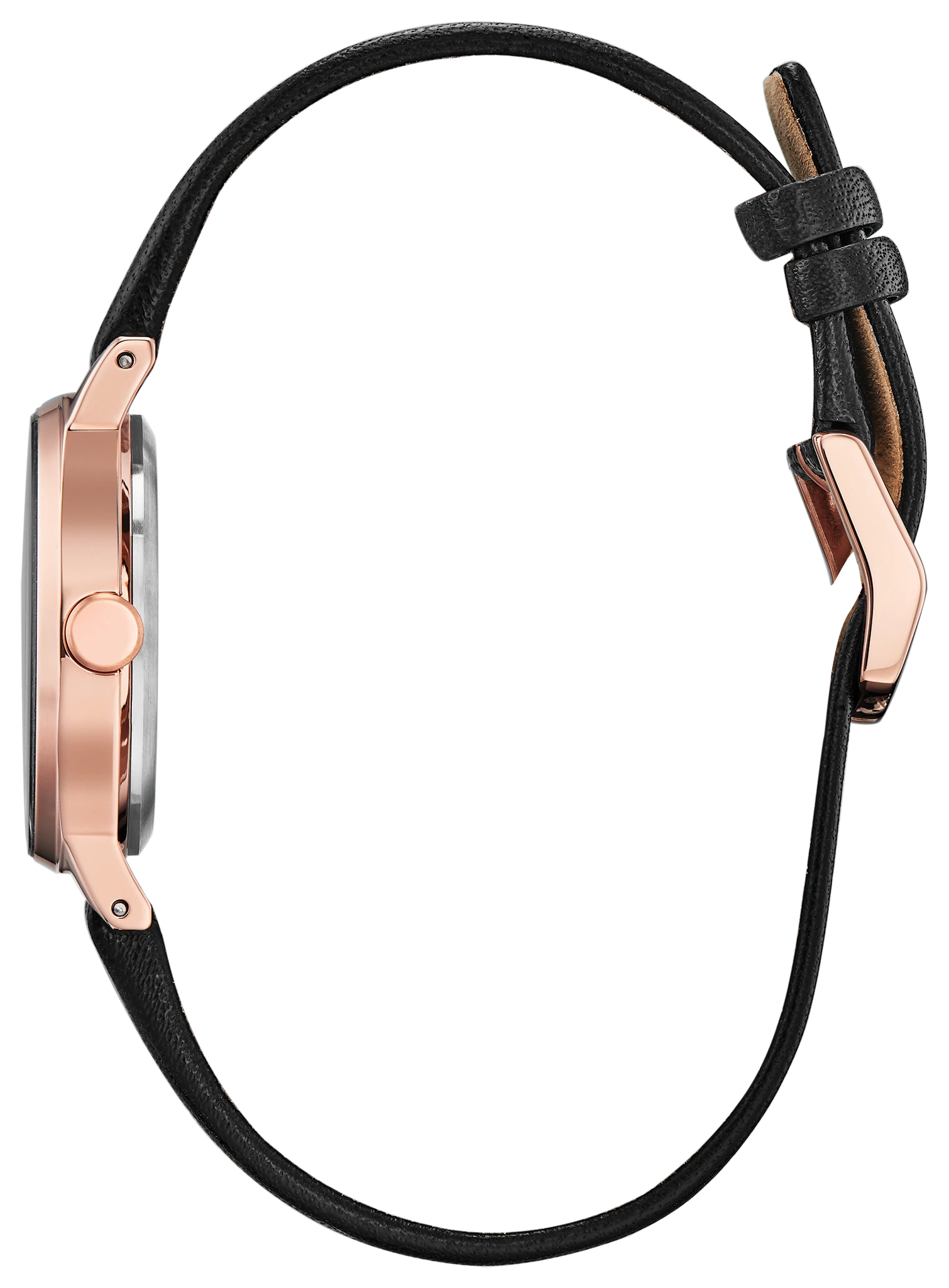 Axiom image number 1