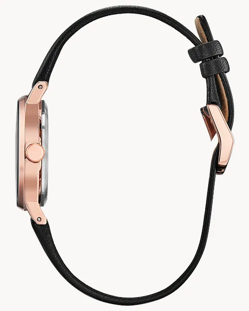 Axiom image number 1