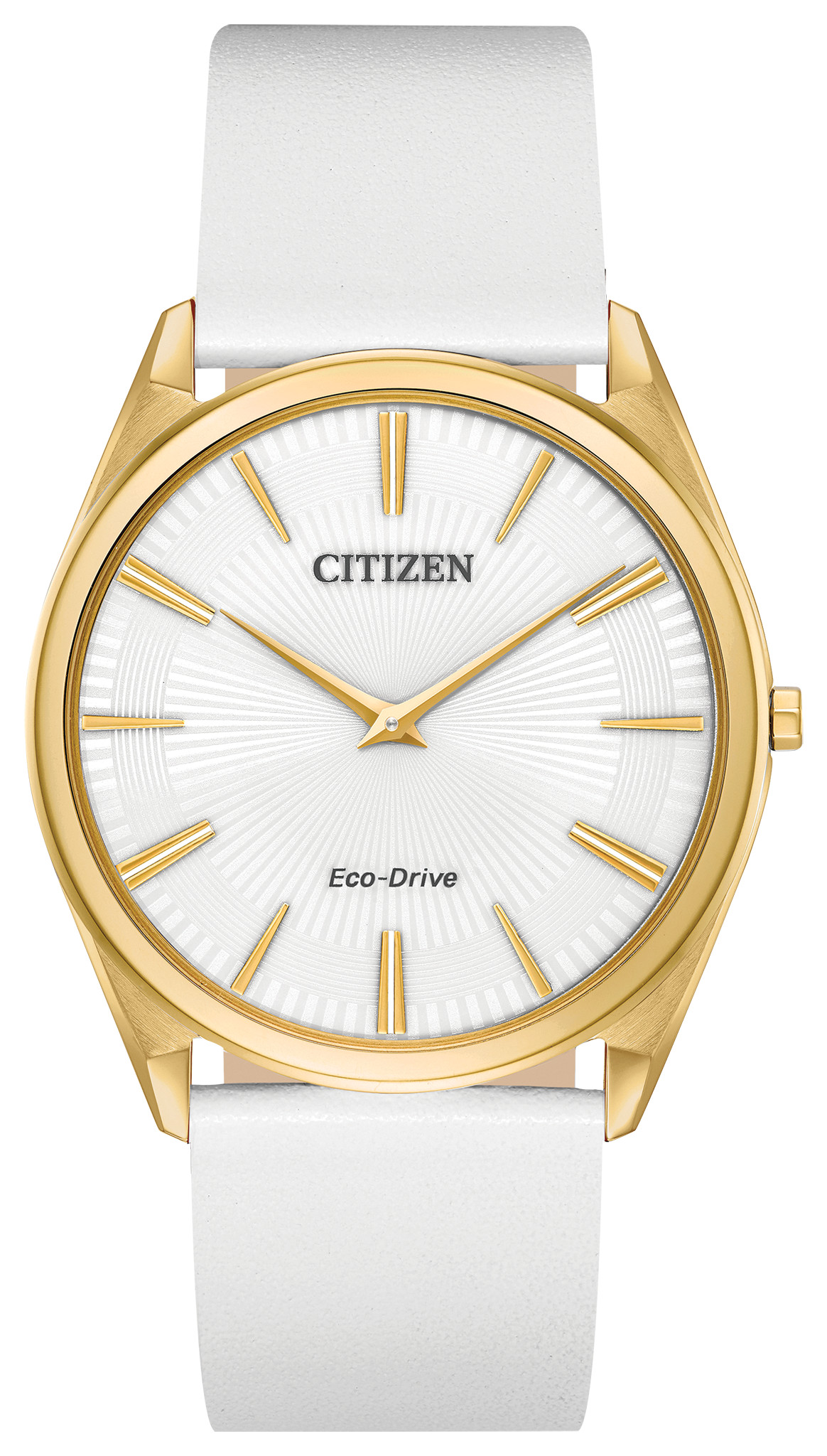 broken citizen watch