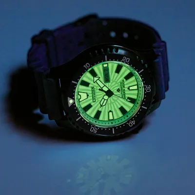 Promaster Dive Automatic Promaster Dive Automatic