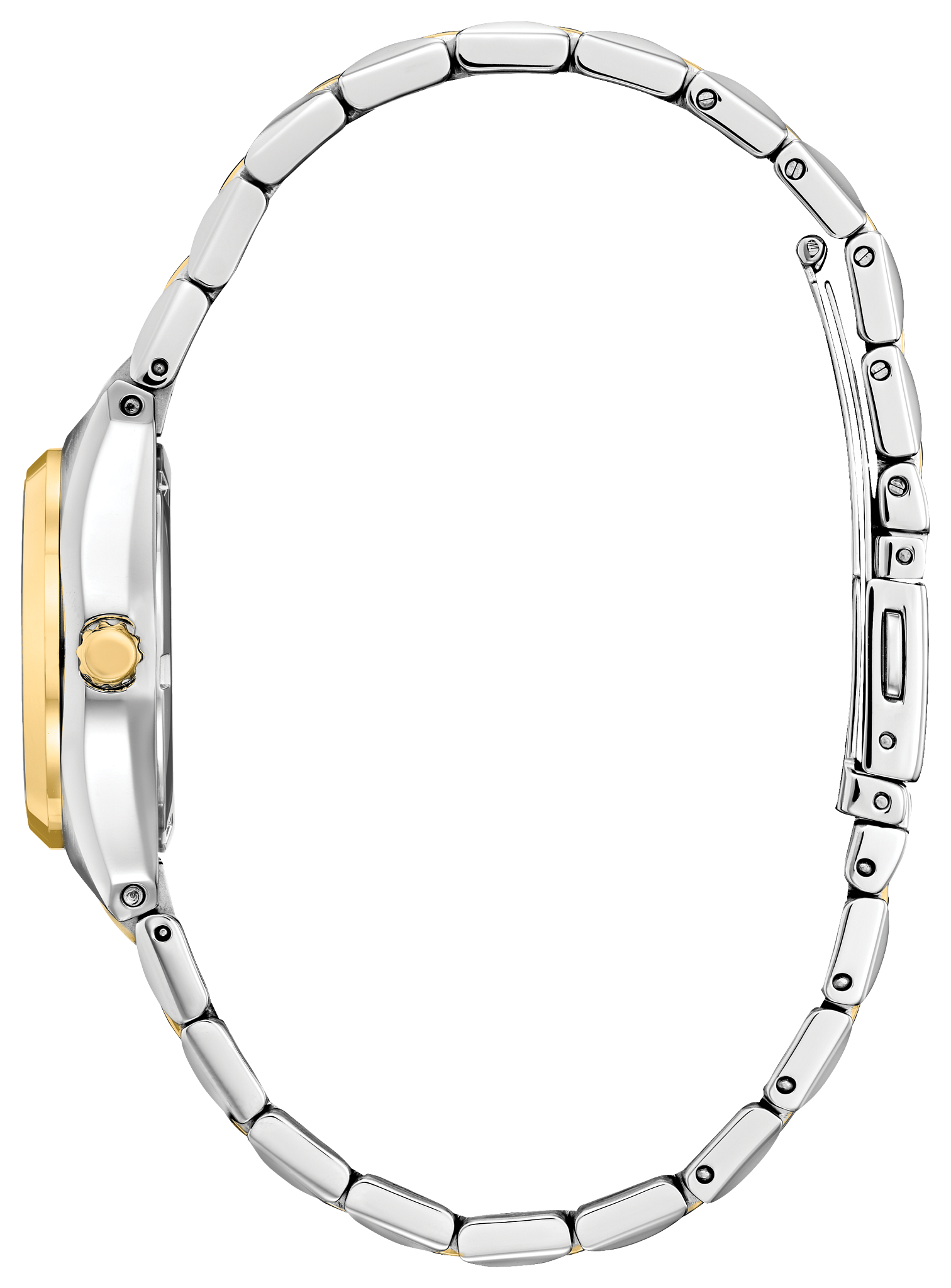 Corso image number NaN