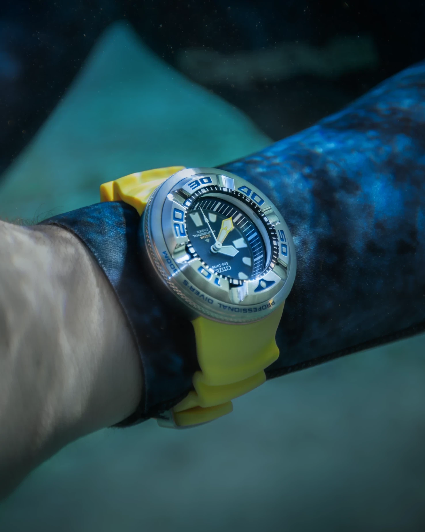 Promaster Dive "Ecozilla"