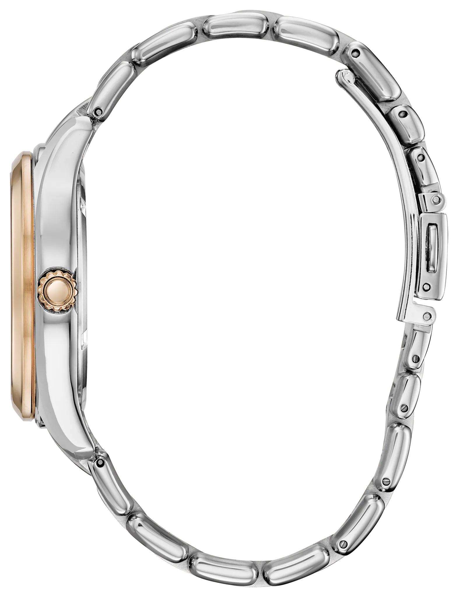 Corso image number 1