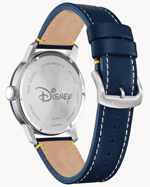 Donald Duck image number 2