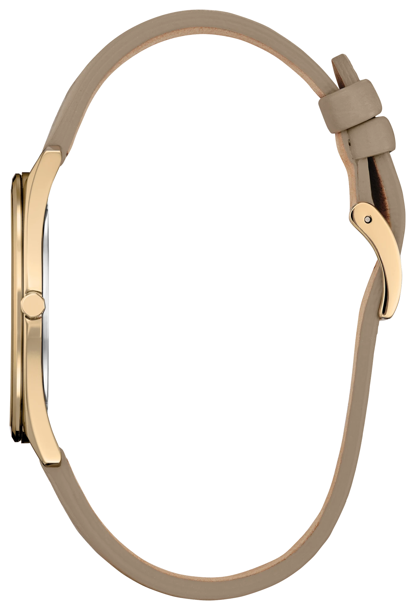 Suratto image number 1