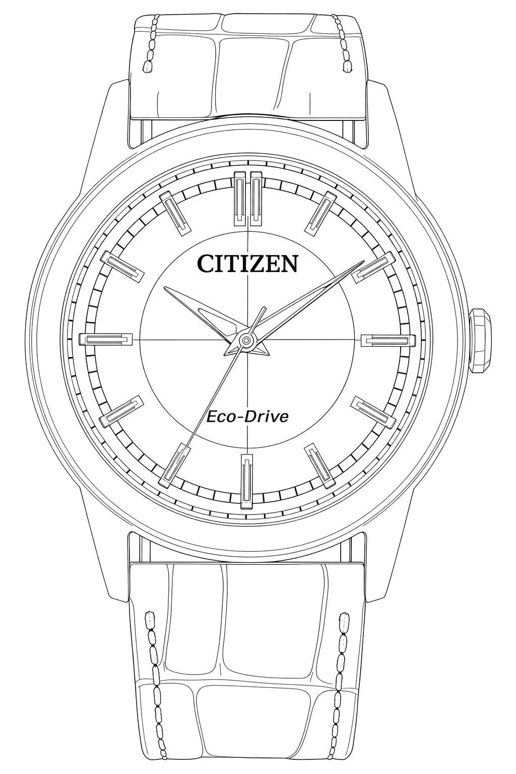 Watch technical diagram